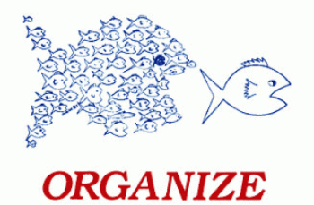 organize-fish