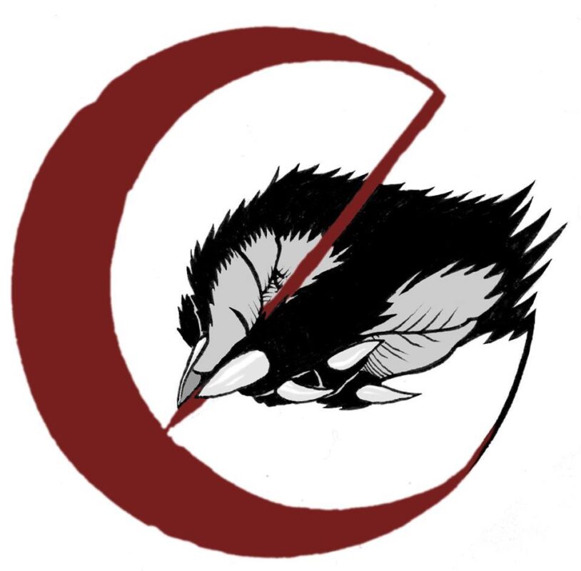 10599563_896452060406463_7493847111426684094_n-5961790