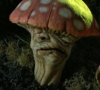 champignons-200x180-4369366